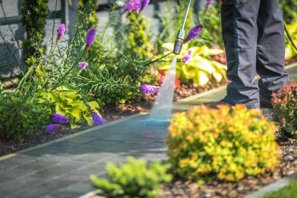 Best Winterizing Services  in Galatia, IL