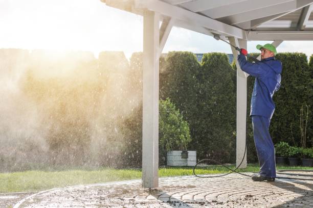 Best Solar Panel Cleaning  in Galatia, IL