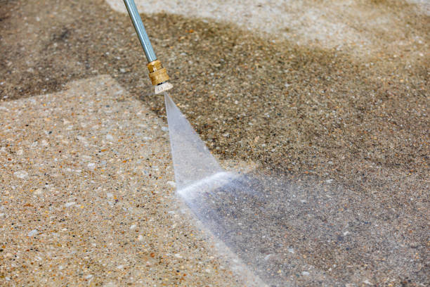 Animal Enclosure Cleaning in Galatia, IL
