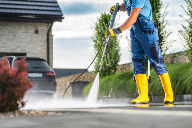 Best Animal Enclosure Cleaning  in Galatia, IL